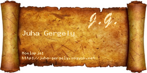 Juha Gergely névjegykártya